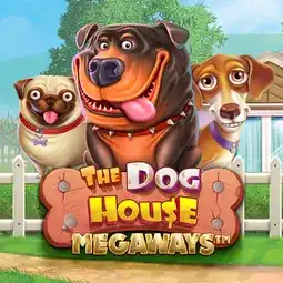 The Dog House Megaways game at Friday Friday Casino for Australian players